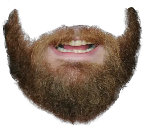 Download Transparent Beard Png 5 O Clock Shadow Transparent Beard Png