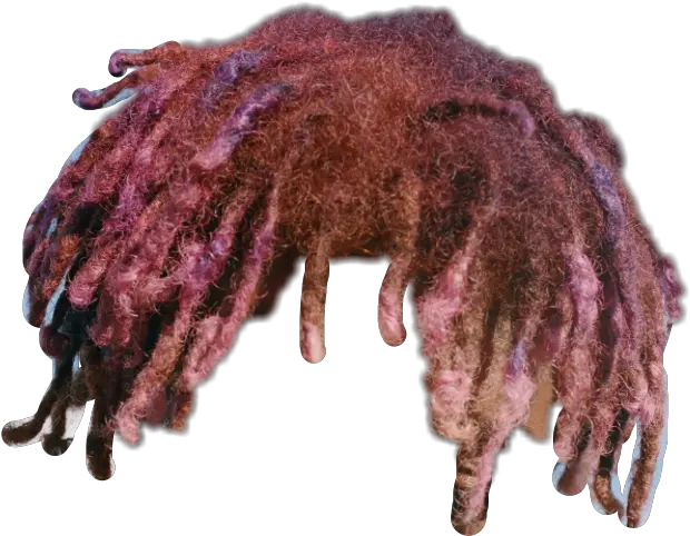 Lil Uzi Dreads Transparent Png Lil Uzi Vert Hair Png Dreads Png