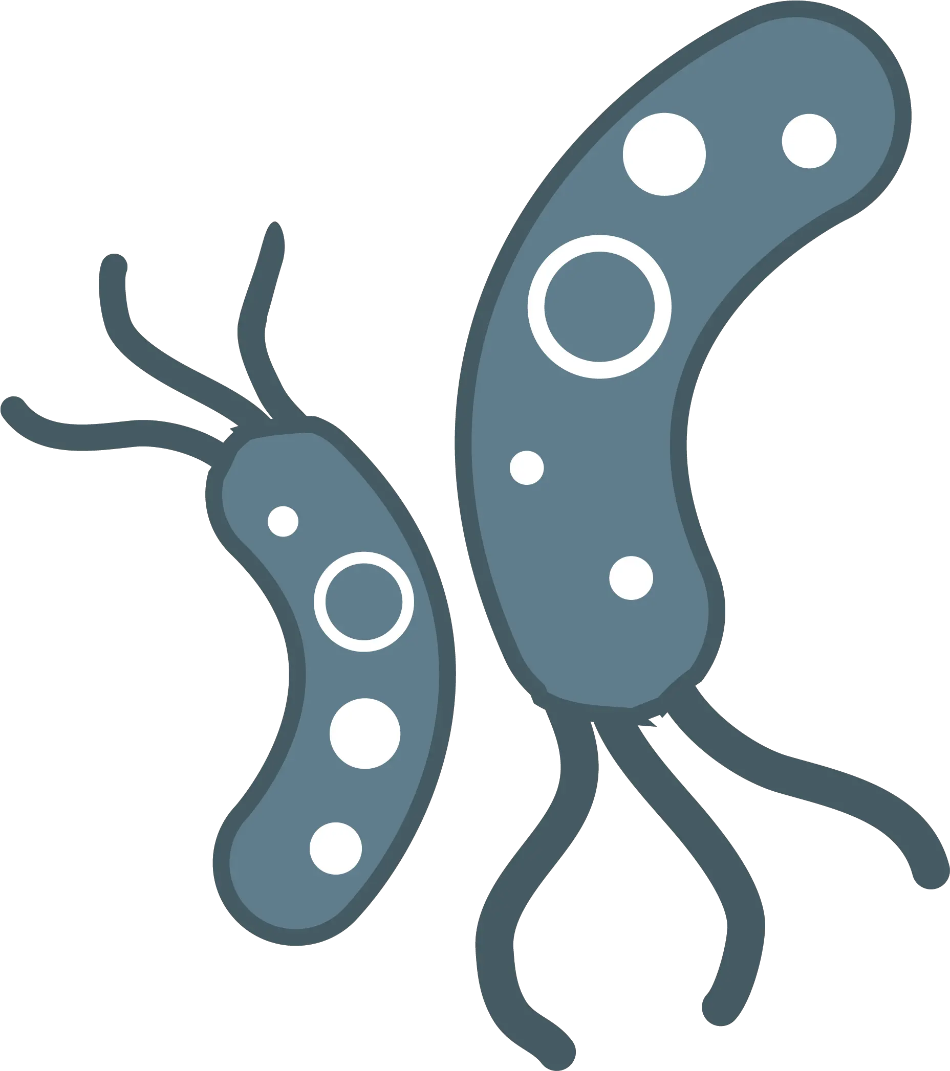 Bacteria Png Transparent Images Transparent Background Bacteria Clipart Bacteria Transparent Background