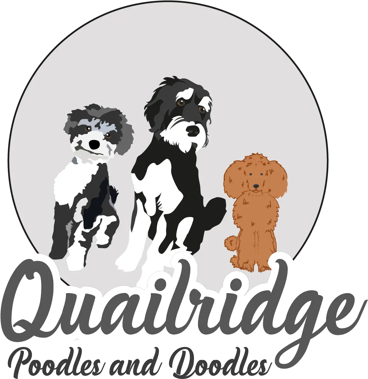 Breeder Of Poodles Doodles Goldendoodles Bernedoodles Golden Png Poodle Icon