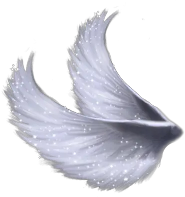 Wings Png Angel Wings Side View Angel Wings Png