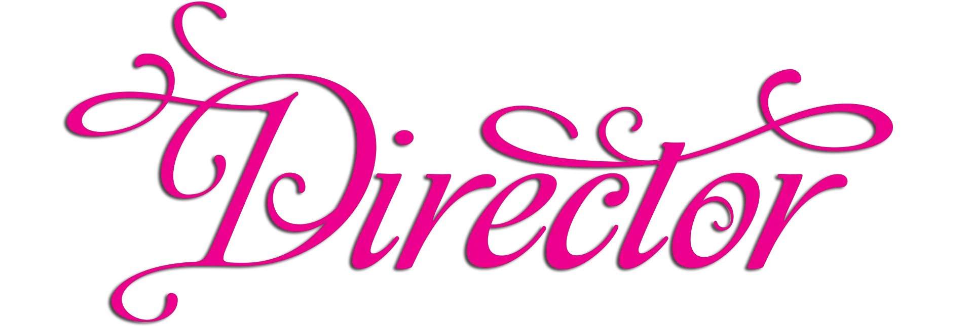 Jewellery Clothing Accessories Paparazzi Director Logo Png Paparazzi Png