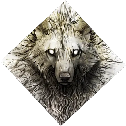 Badass Wolf Face Wolf Stare Tattoo Png Wolf Face Png