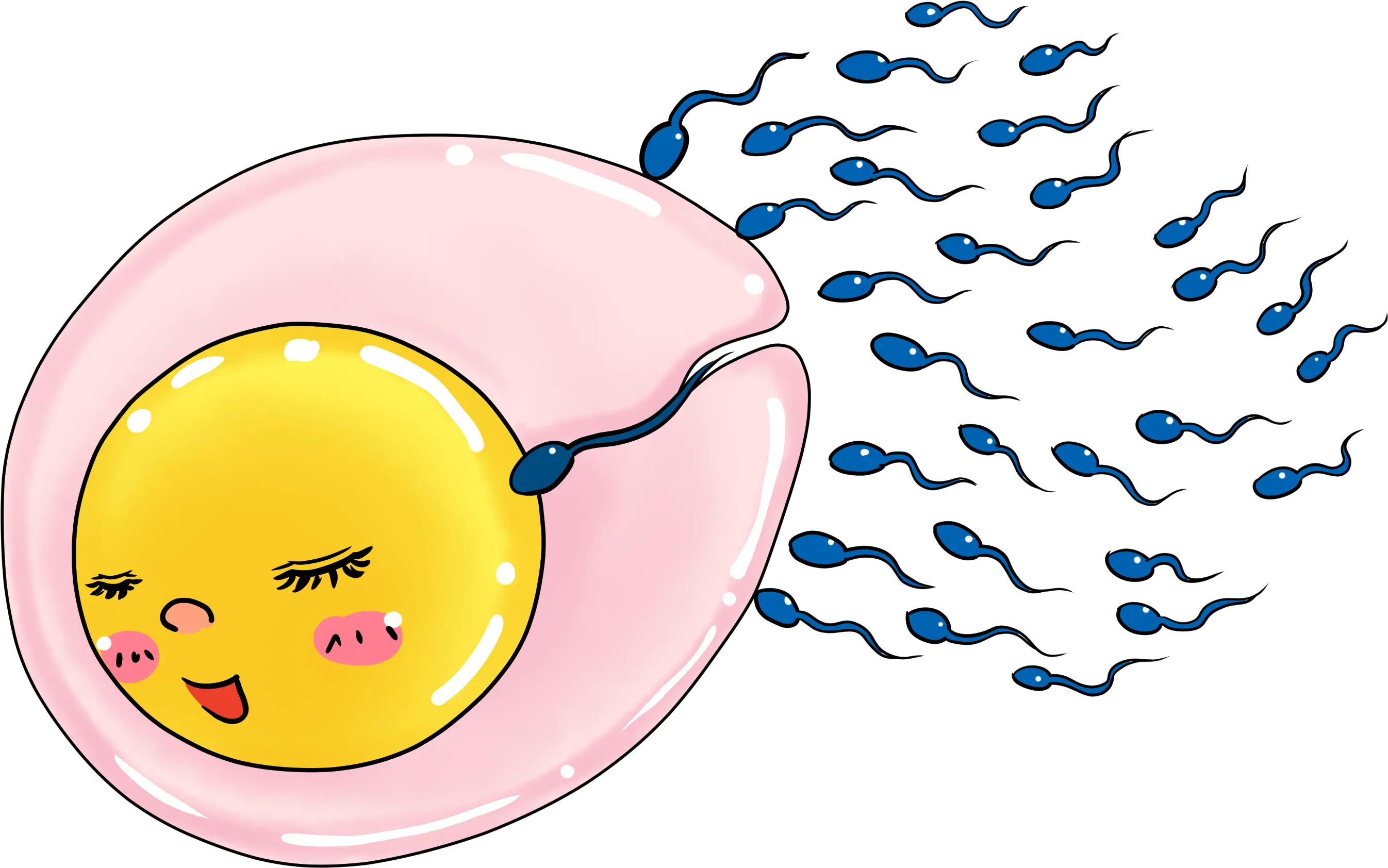 Donation Cartoon On Egg And Sperm Png Donation Png