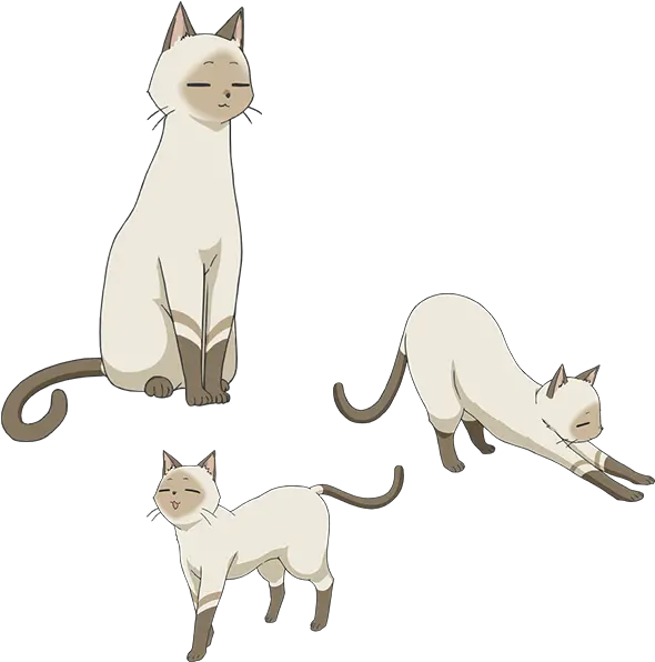 Flying Witch Anime Cat Png Image Flying Witch Anime Cat Anime Cat Png