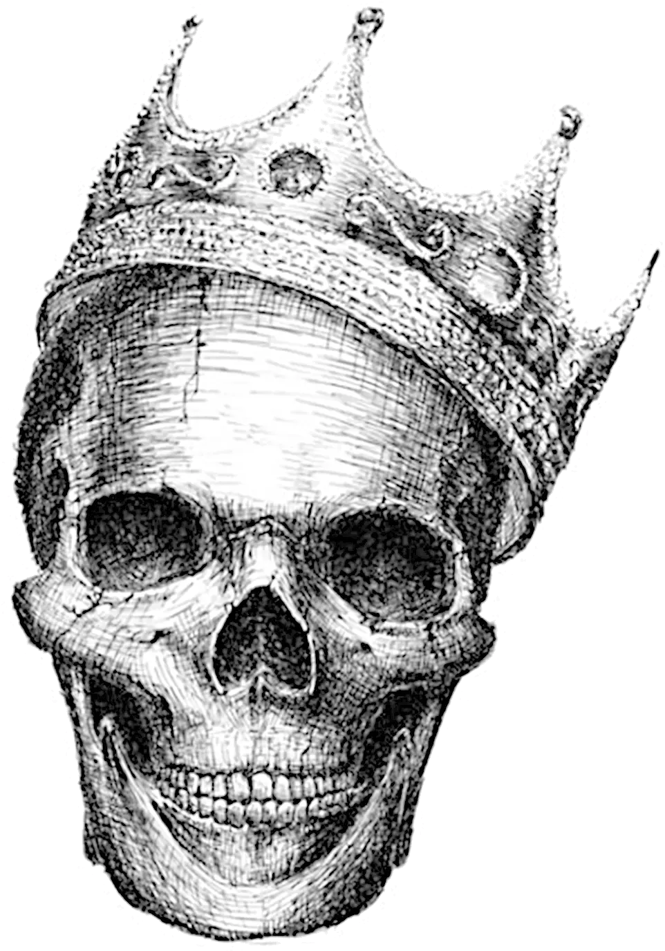 Download Skeleton Skull Calavera Human Skull Tattoos Sketch Png Calavera Png