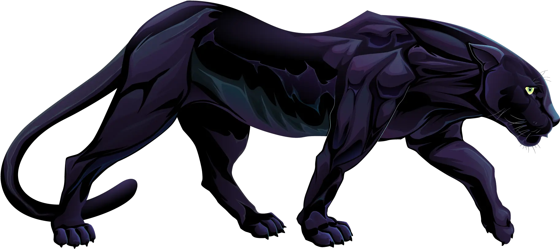 Panther Png Hd Black Panther Animal Full Body Panther Transparent