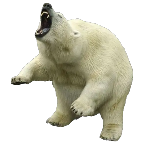 Polar Bear Transparent Png Transparent Polar Bear Png Polar Bear Png