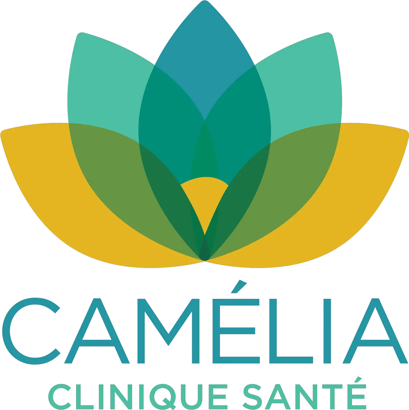 Camelia Clinique Sante Montreal Graphic Design Png Clinique Logo