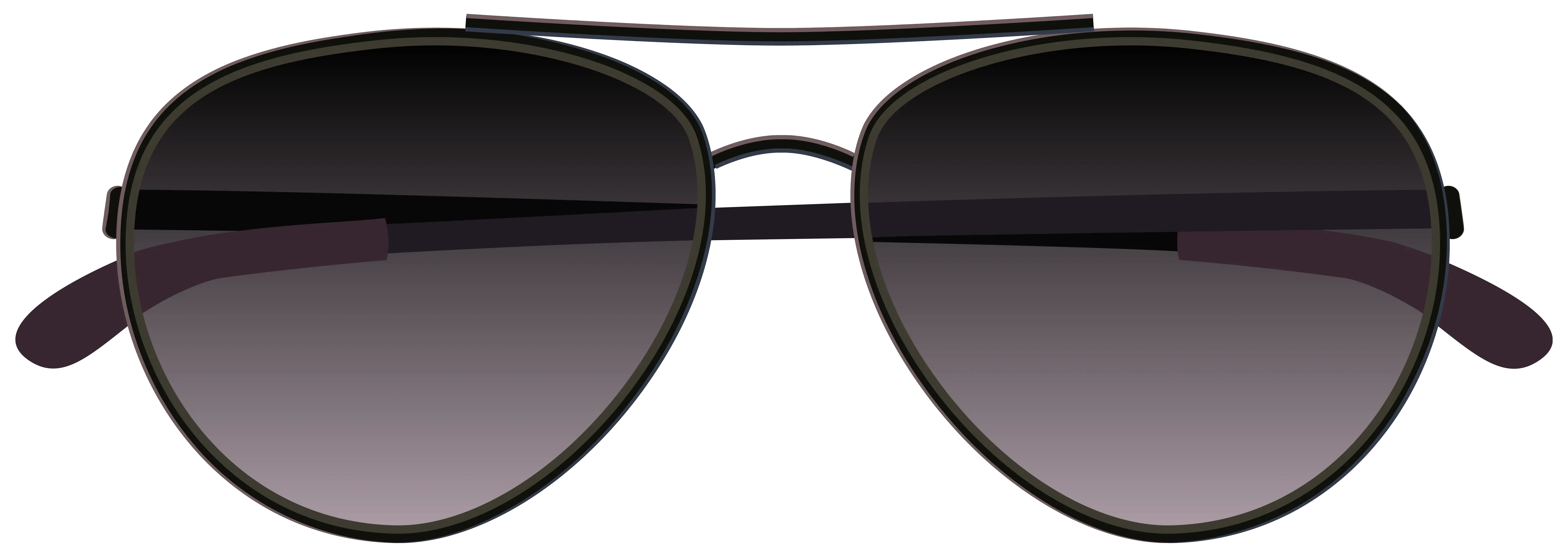 Polarized Sunglasses Png