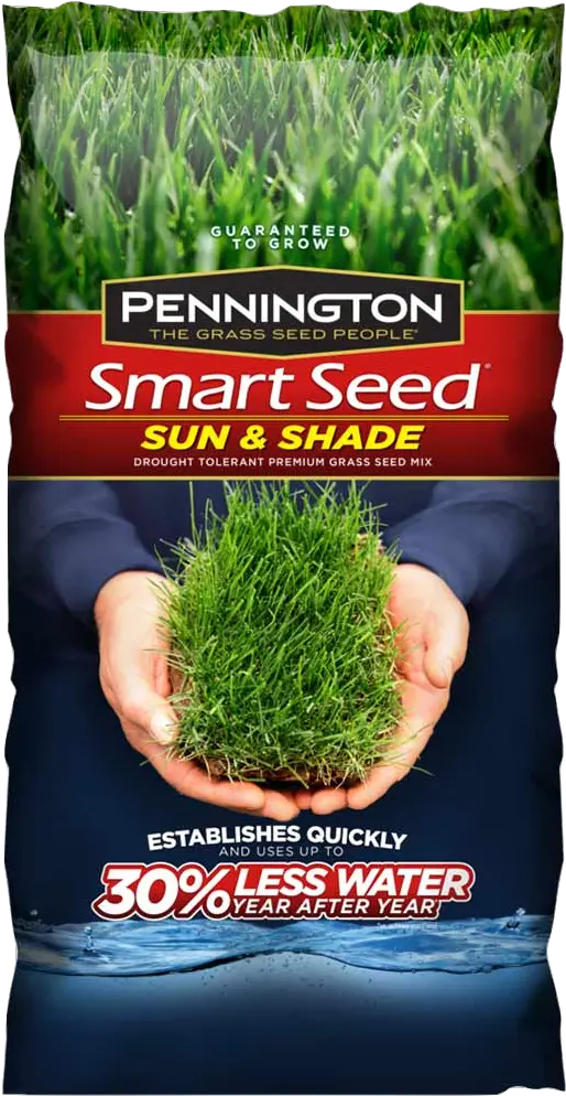 Premium Grass Seed For Home Lawns Lowes Pennington Grass Seed Png Wild Grass Png