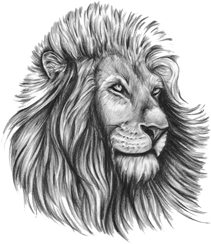 Lion Tattoo Png Hd Idea Images Transparent Lion Tattoo Png Chest Tattoo Png