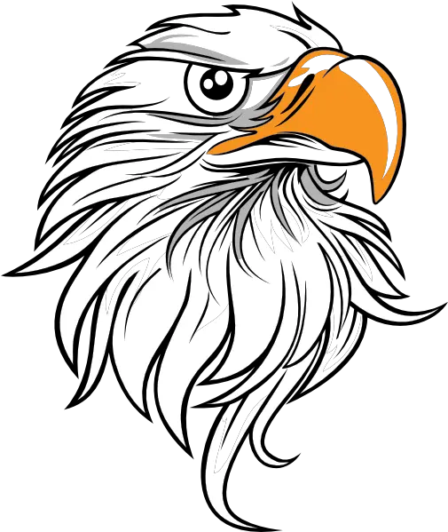 Eagle Head Logo Png 3 Image Eagle Clipart Transparent Background Eagle Head Logo