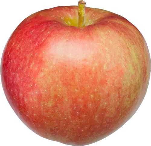 Paula Red Apple Mcintosh Png Red Apple Png