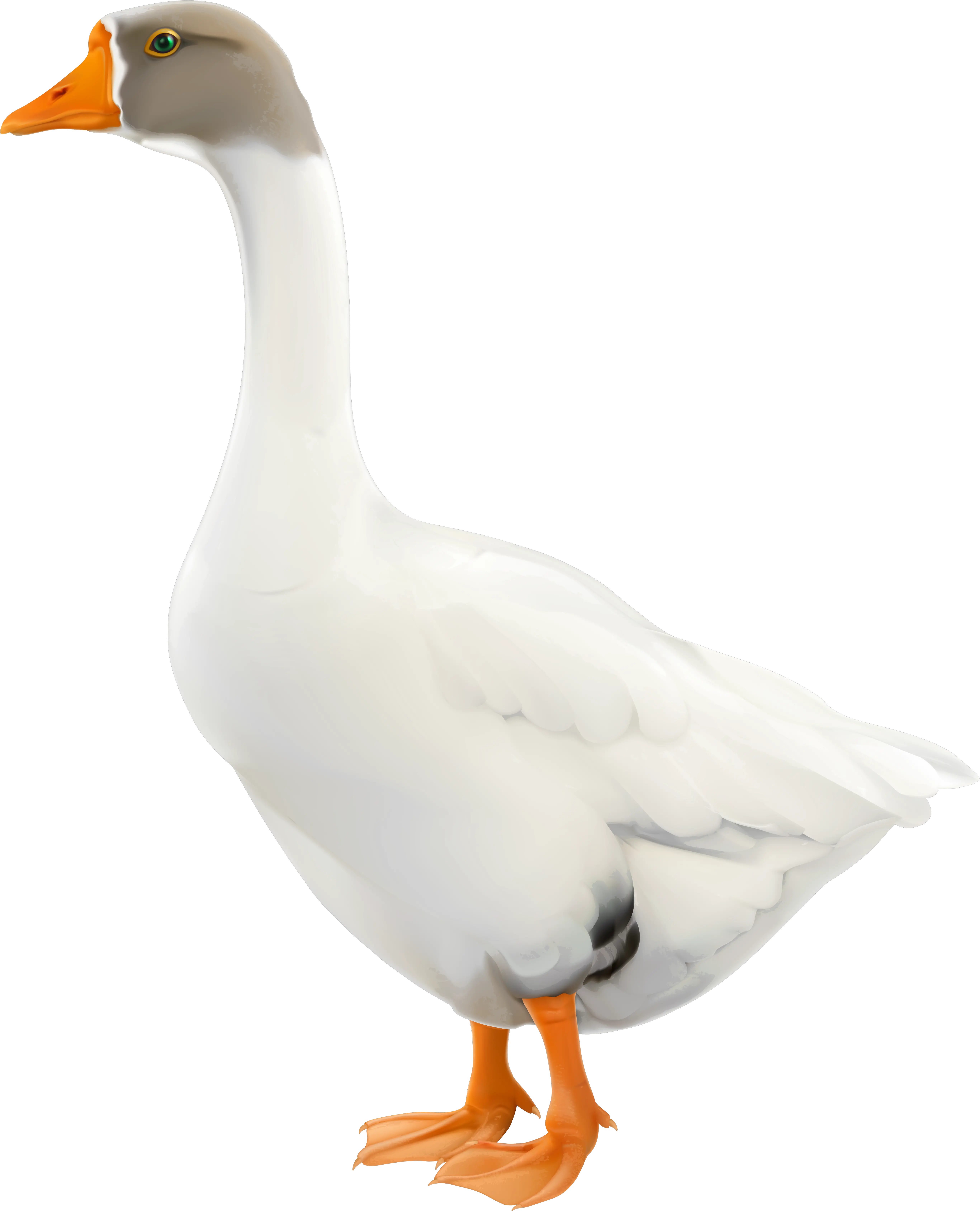 Free Goose Png Download Clip Art Goose Clip Art Png Goose Png