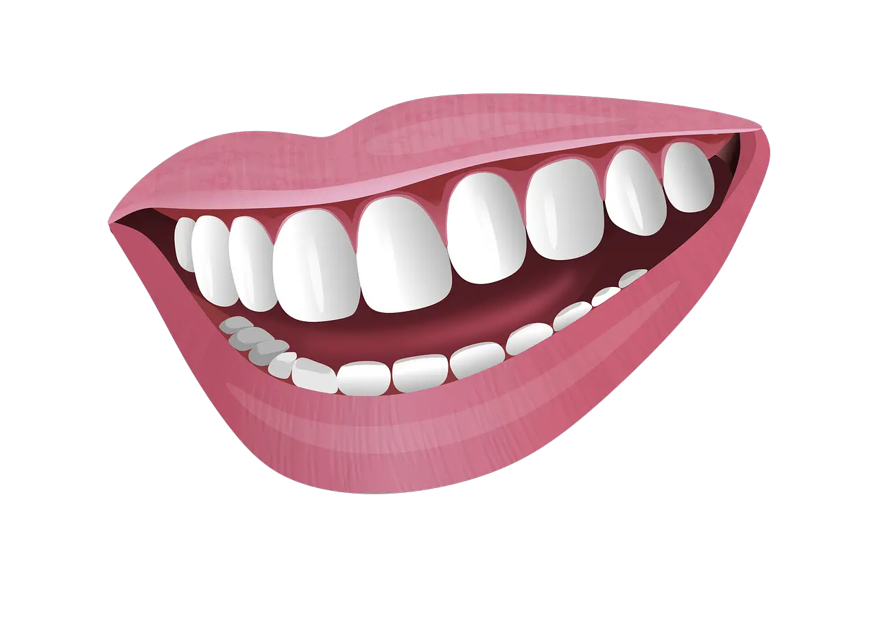 Illustration Mouth Smile Gambar Mulut Senyum Png Smiling Mouth Png