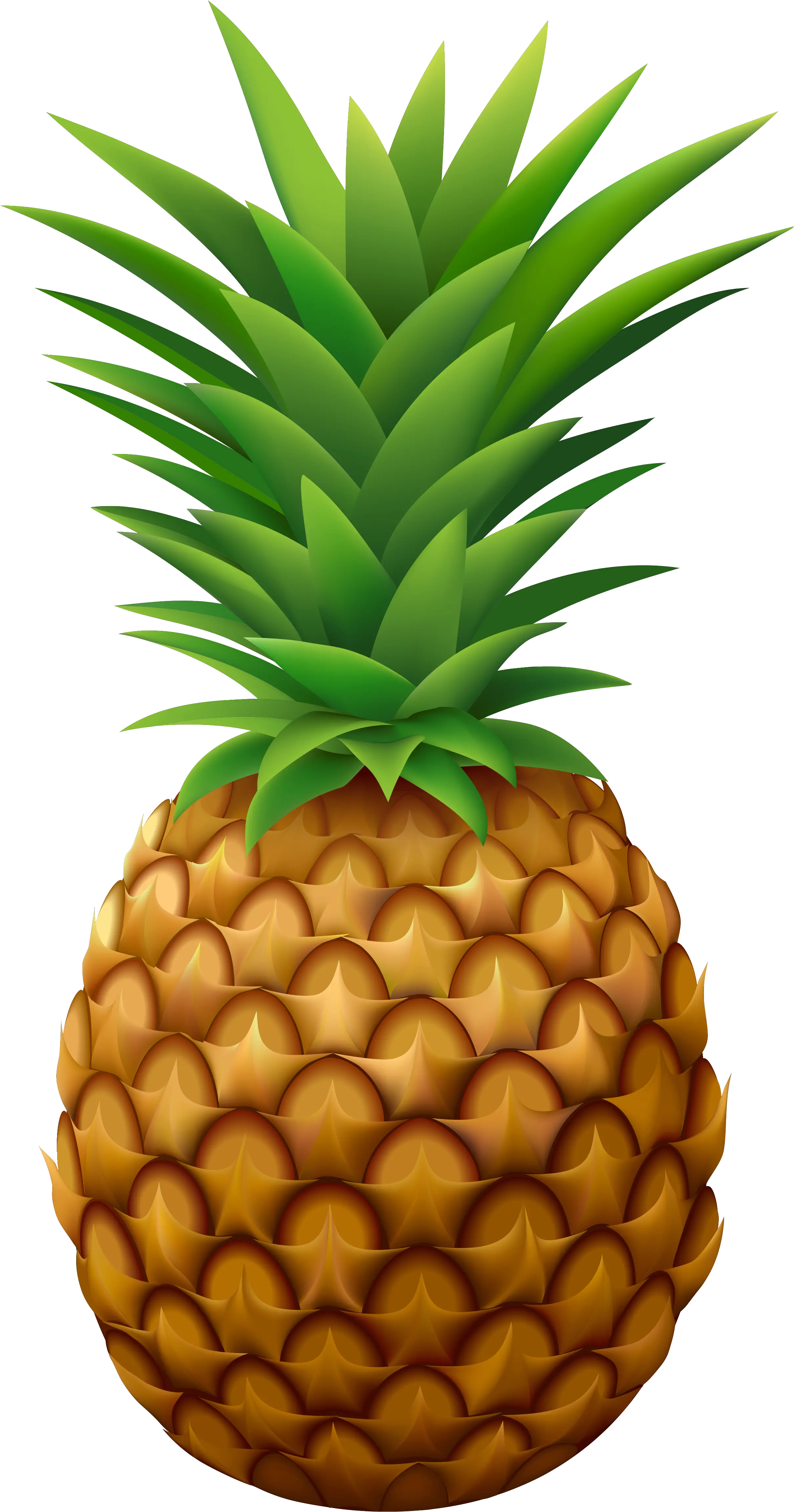 Pineapple Clipart Transparent Background Png Clip Art