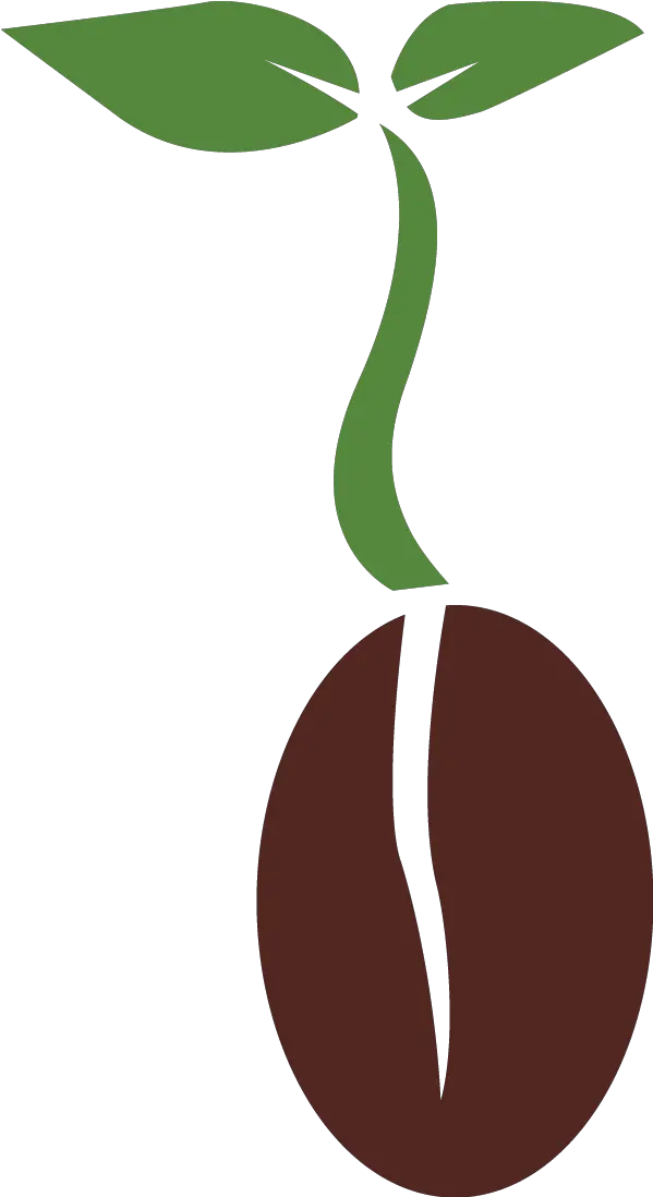 Seed Png Clipart