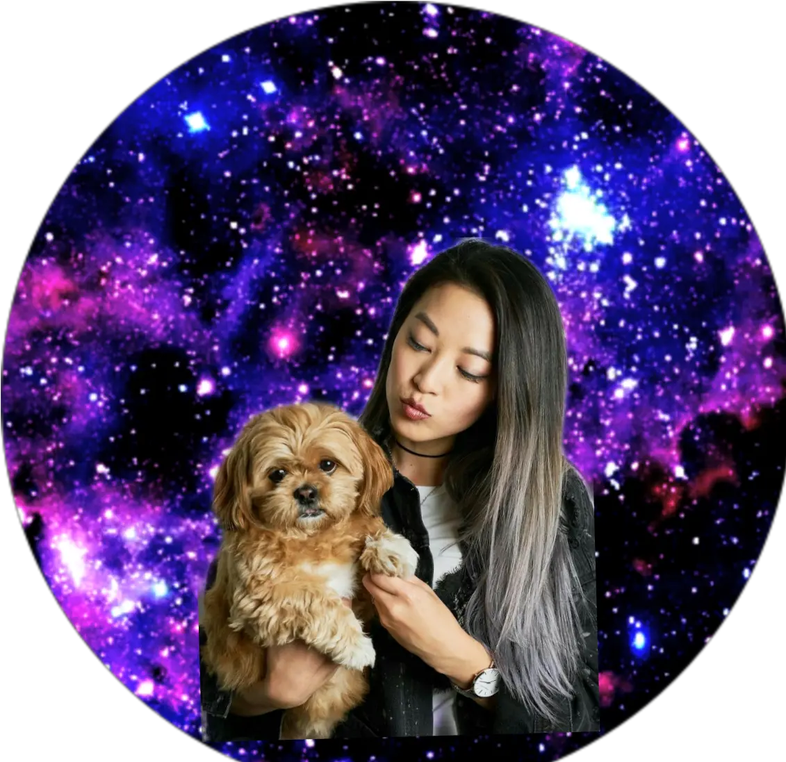 Ardencho Sticker Cavachon Png Arden Cho Png