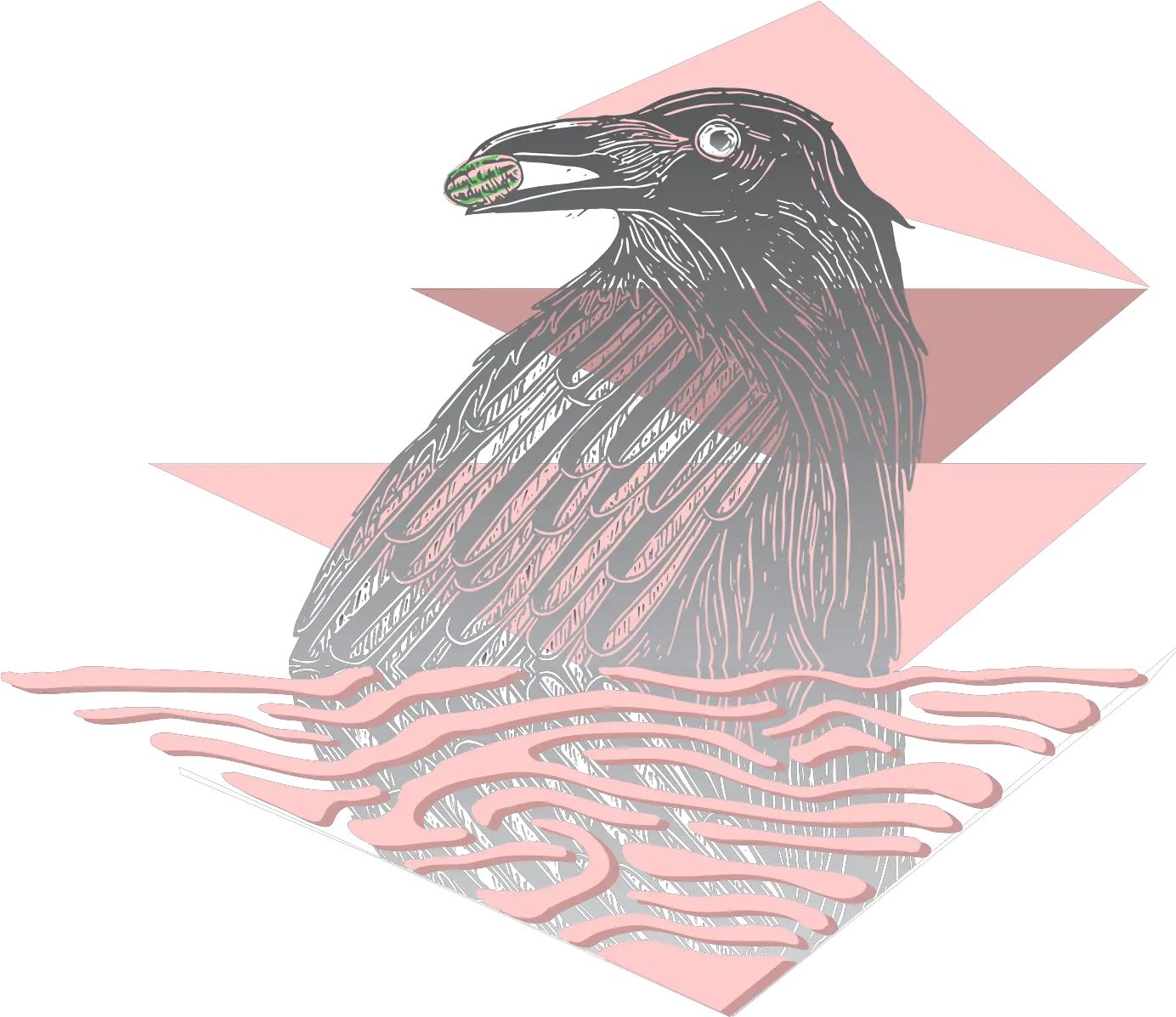 About The Logo American Crow Png Crow Logo