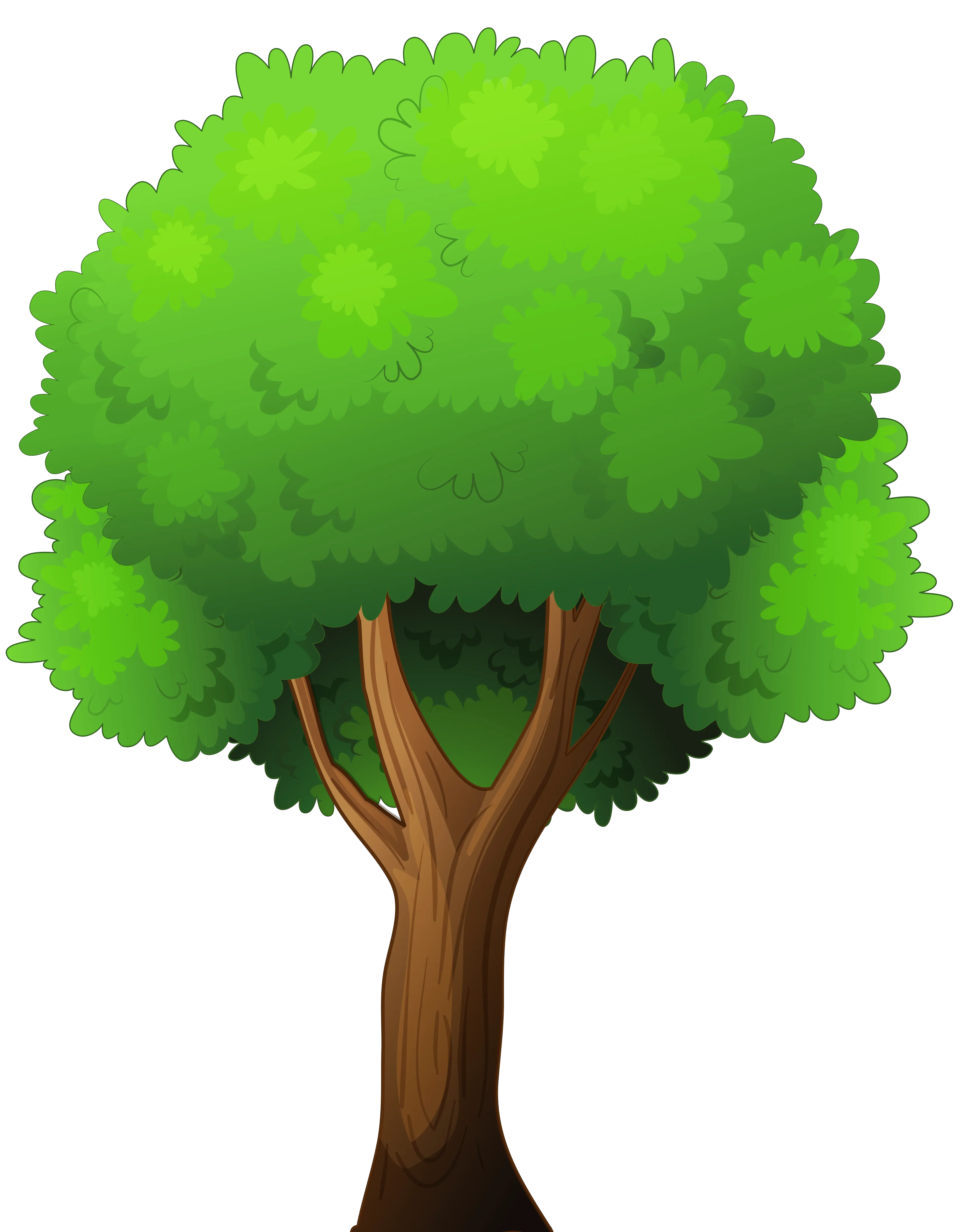 Transparent Background Tree Clipart Png Trees Png Clipart Clip Art Transparent Background