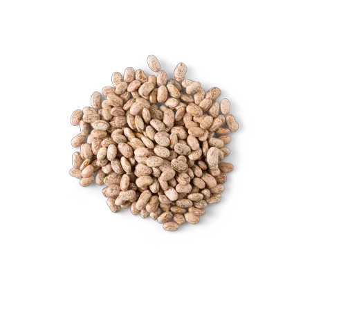 Chipotle Pinto Beans Pinto Beans From Chipotle Png Bean Transparent