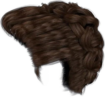 Hair Braid Png Png Hair Style In Side Braid Png