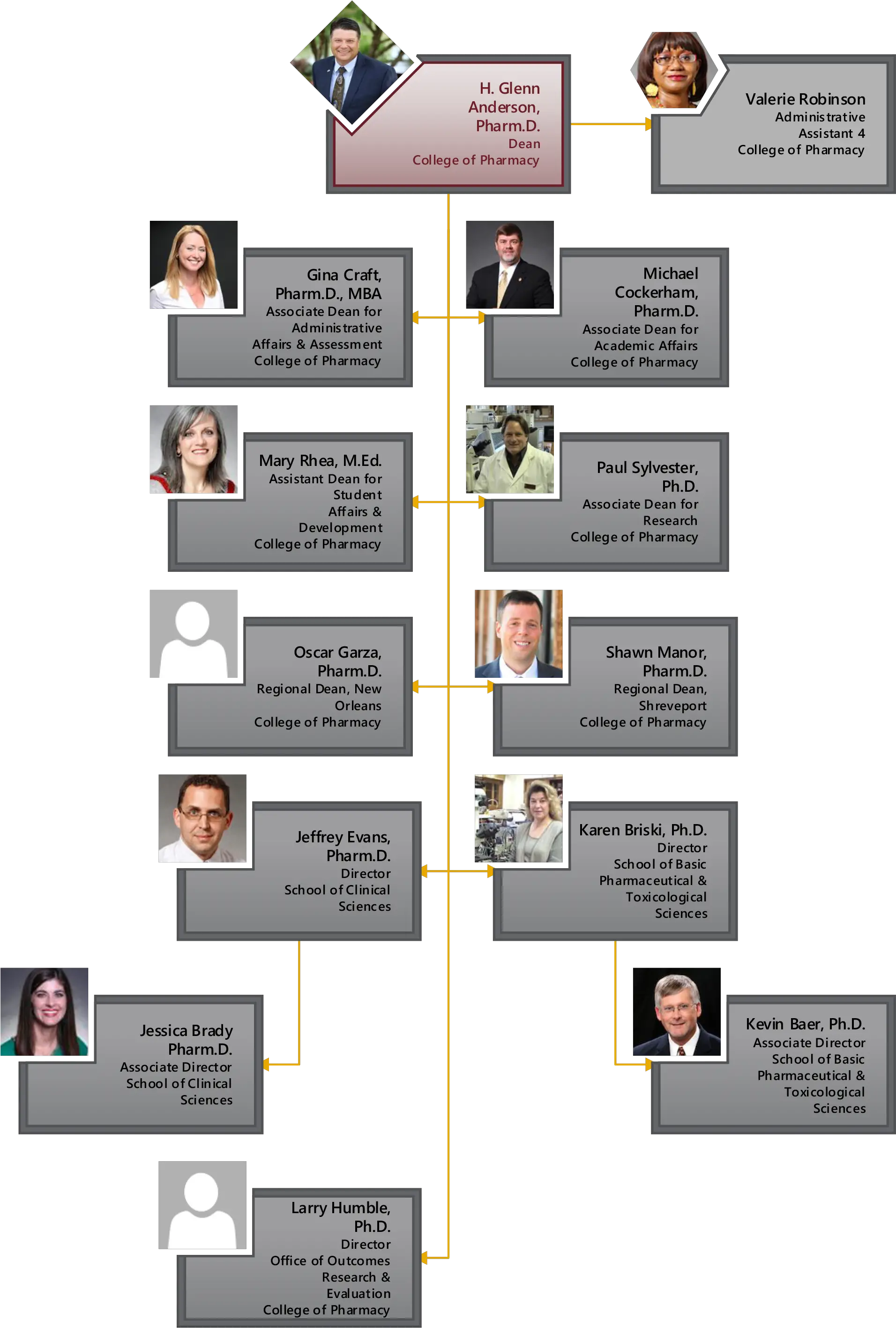 Cop Organizational Chart Pharmacy Organizational Chart Png Org Chart Icon