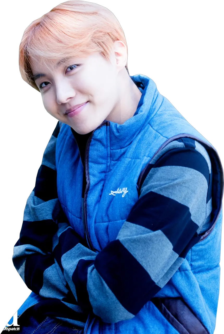 Hes So Precious Discovered By Punkbunn U208a J Hope Bts Cute Png Jhope Png