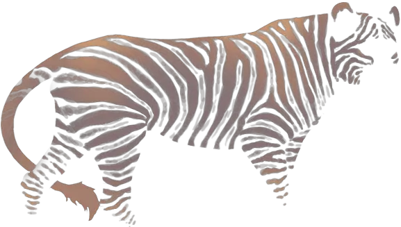 Hellebore Zebra Lioden Lioden Marking Neutral Pose Png Zebra Png