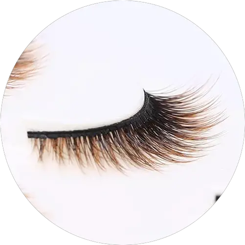 Rebornhairs Inc Manufacturer Of Wigs Hair Extensions 3d Color Lashes Png Lash Icon