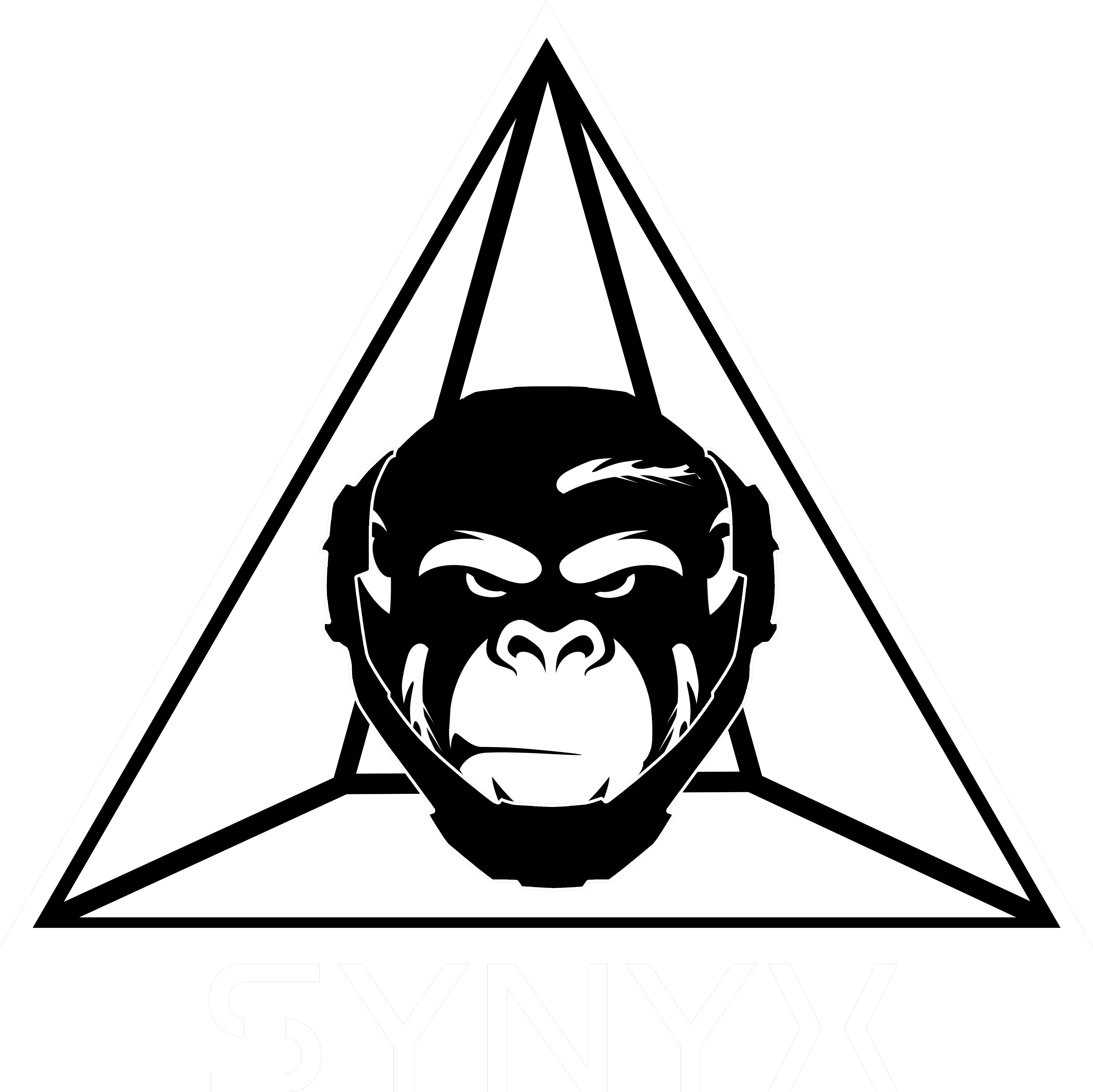 Synyx Illustration Png Owsla Logo