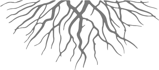 Roots Cartoon Png Image With No Transparent Background Roots Png Roots Png