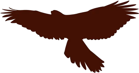 Transparent Png Svg Vector File Pajaro Atacando Silueta Png Falcon Transparent