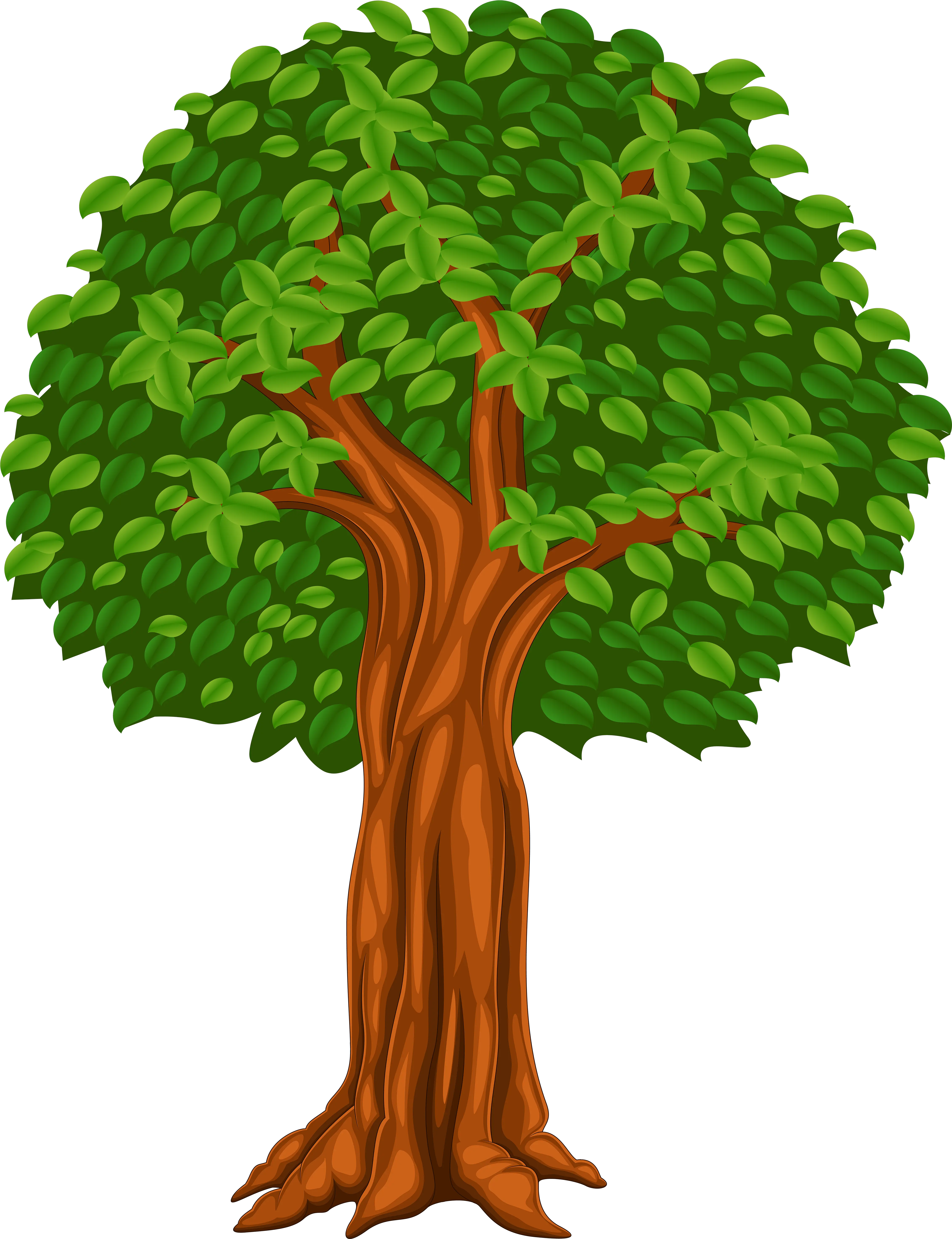 Tree Illustration Png Image Transparent Tree Cartoon Png Trees Background Png