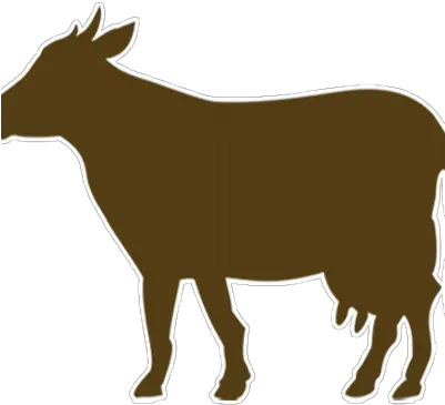 Brown Cow Marketing Bccmrktg Twitter Brown Cow Icon Transparent Png Cow Icon