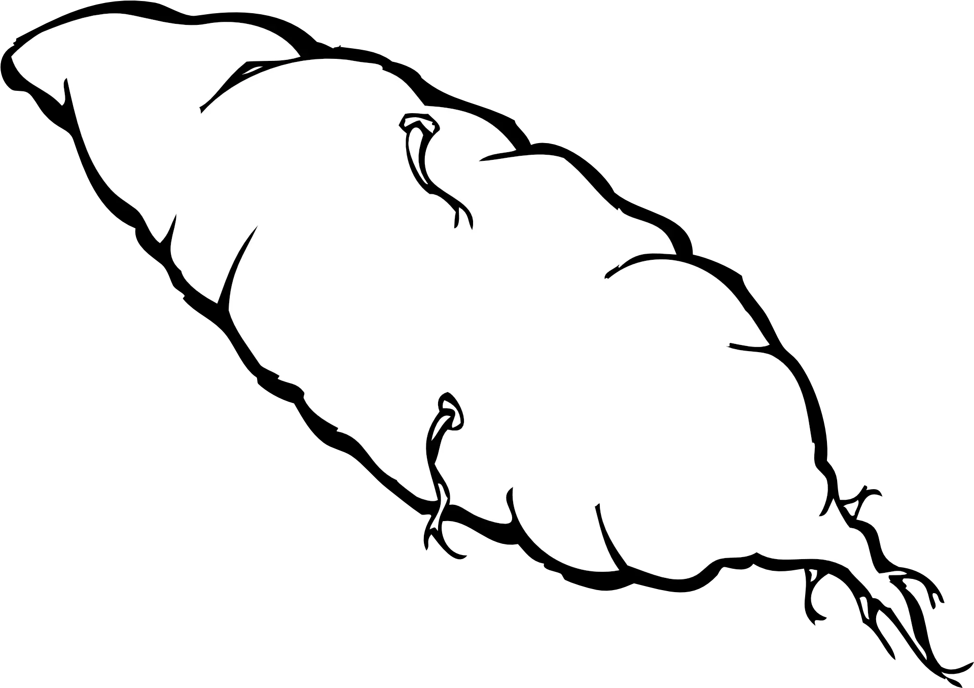 Sweet Potato Yam Outline Vector Sketch Ubi Black And White Png Yam Png