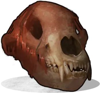 Bear Skull Rust Wiki Fandom Skull Png Skull Icon Png