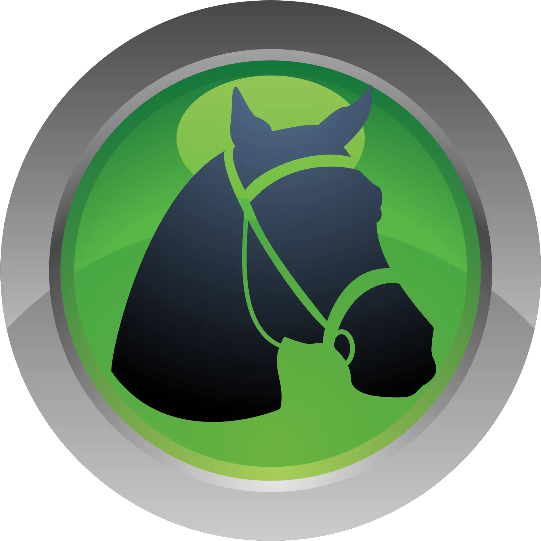 Sport Icon Horse Dressage Png Picpng Dressage Sport Icon Png