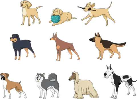 Great Dane Dog Puppy Cartoon Drawing Guard Dog Breeds Png Great Dane Png