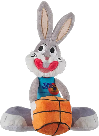 Space Jam A New Legacy Bark Box Space Jam Png Toy Box Icon