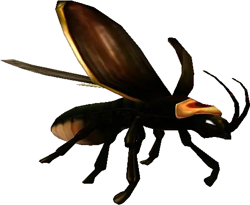 Impossible Creatures Game Wiki Japanese Rhinoceros Beetle Png Firefly Png