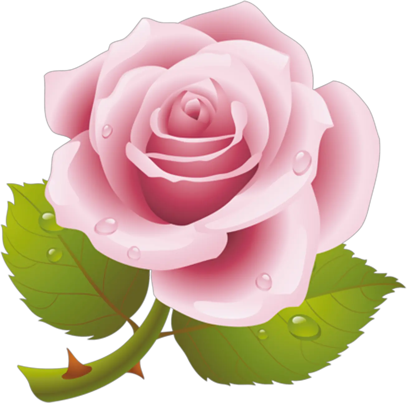 Rosa Png With Transparent Background Transparent Rosas Png Rosas Png