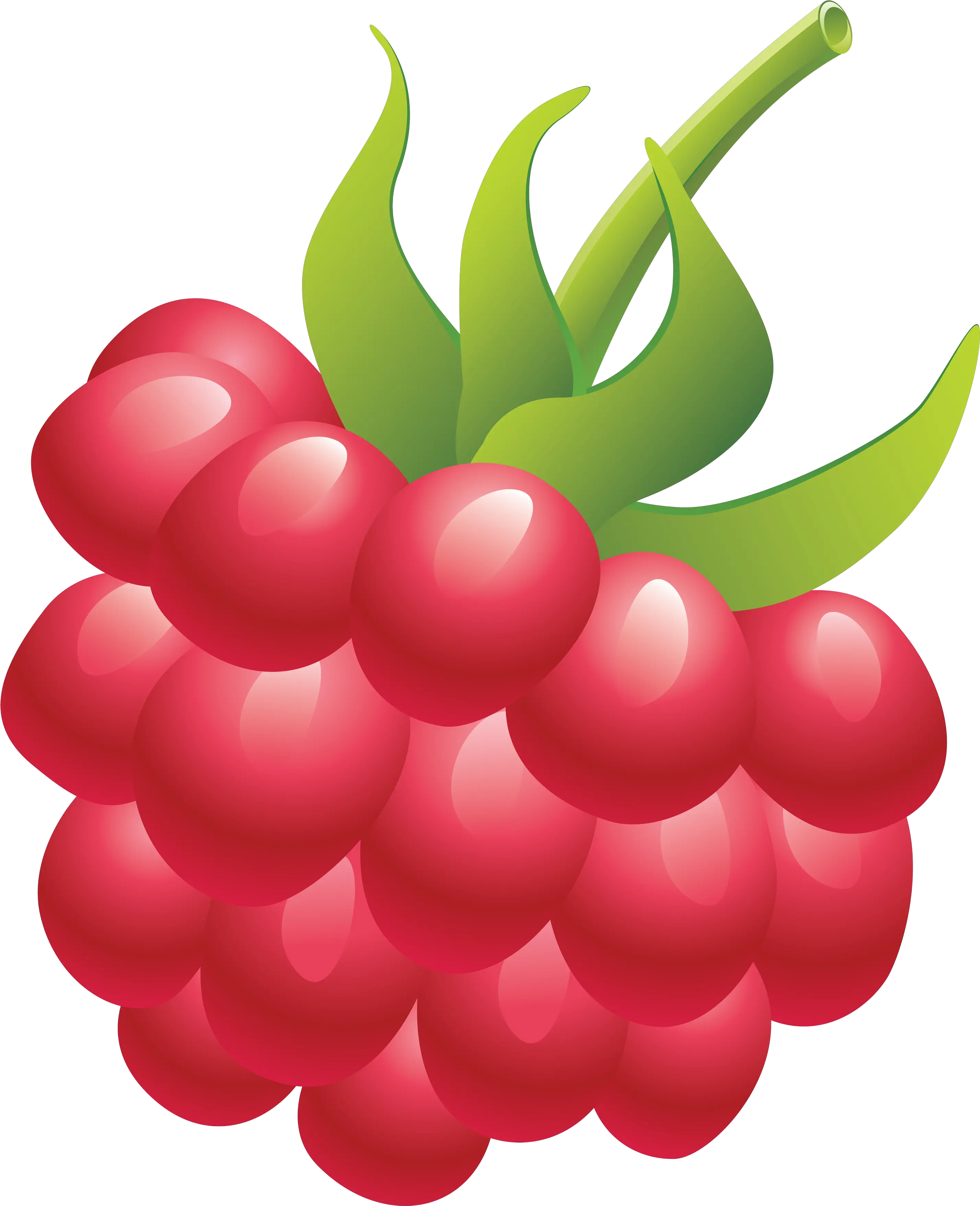 Raspberry Png Image Raspberry Png Clipart Eat Png