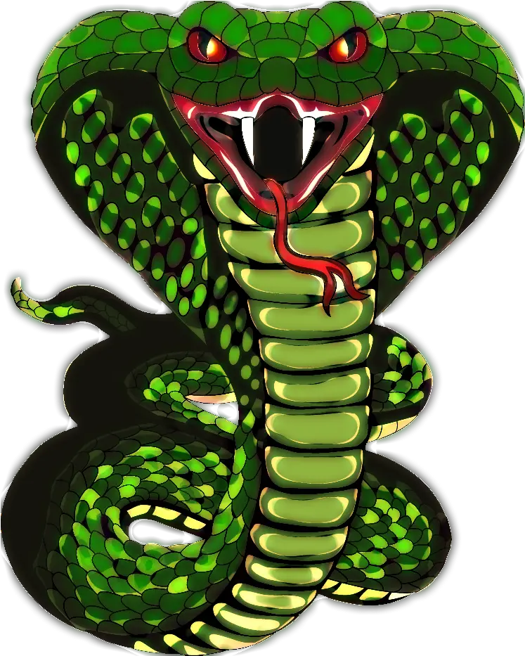 Snake Scale King Cobra King Cobra Png Download 746932 Cobra Snake Drawing Cartoon Cobra Png