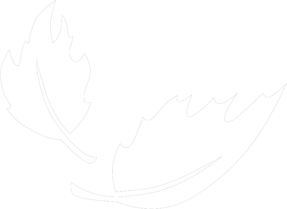 Luxury 5 Illustration Png Ness Png