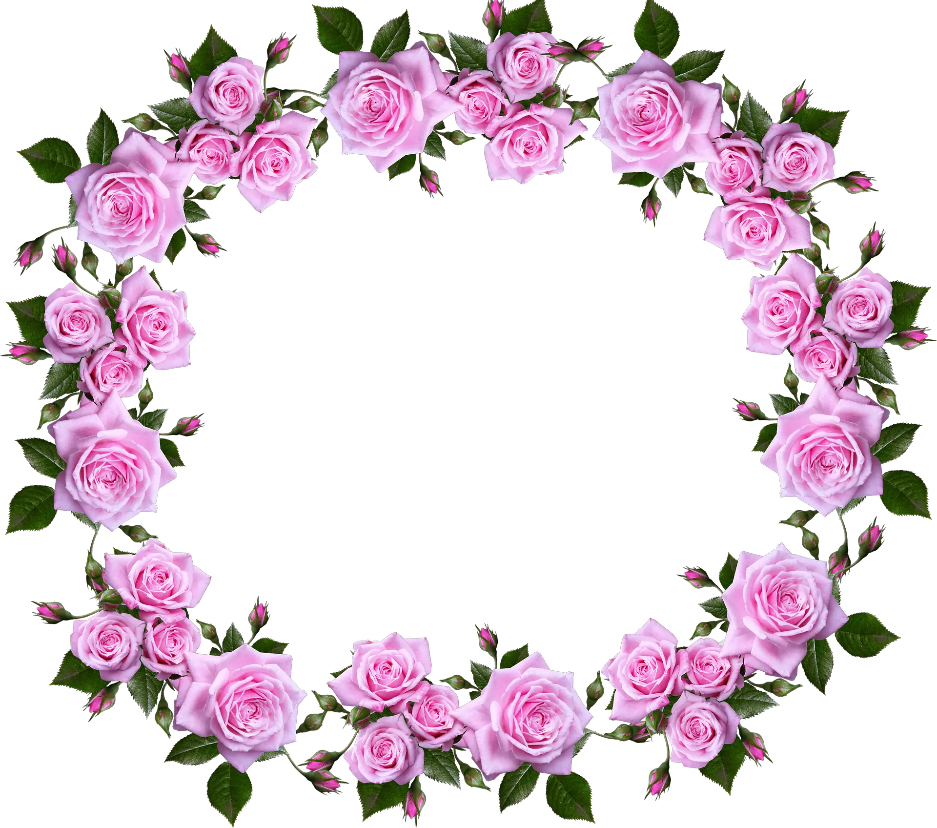 Decorative Border Png Picture Border Design Rose Flower Decorative Border Png