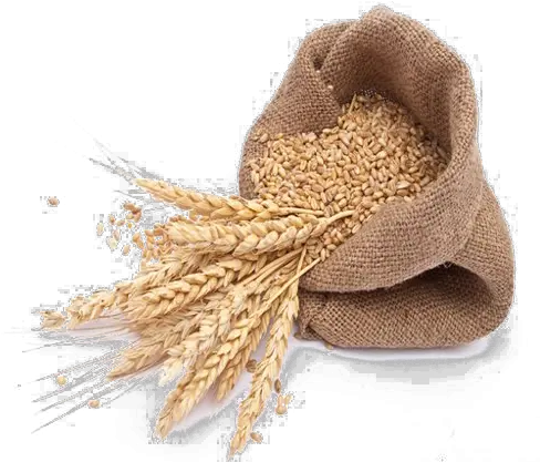Wheat Png Transparent Images Transparent Background Wheat Png Wheat Transparent Background