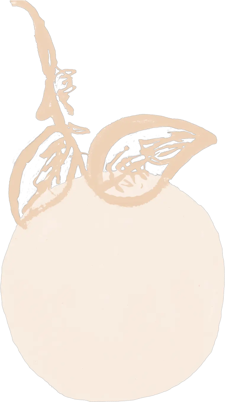 Random Gallery Cansu Guney Png Limon