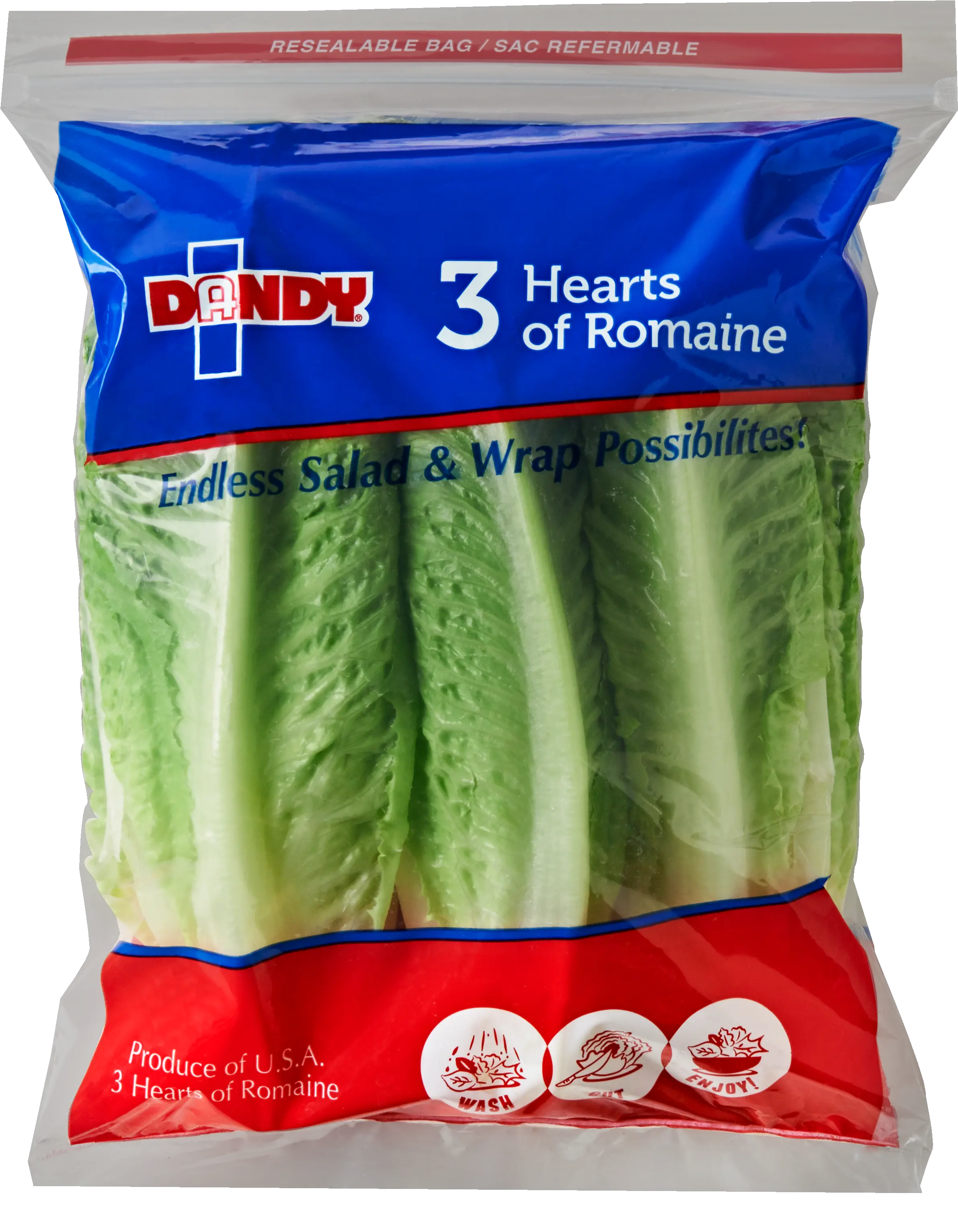 Romaine Hearts Png Lettuce